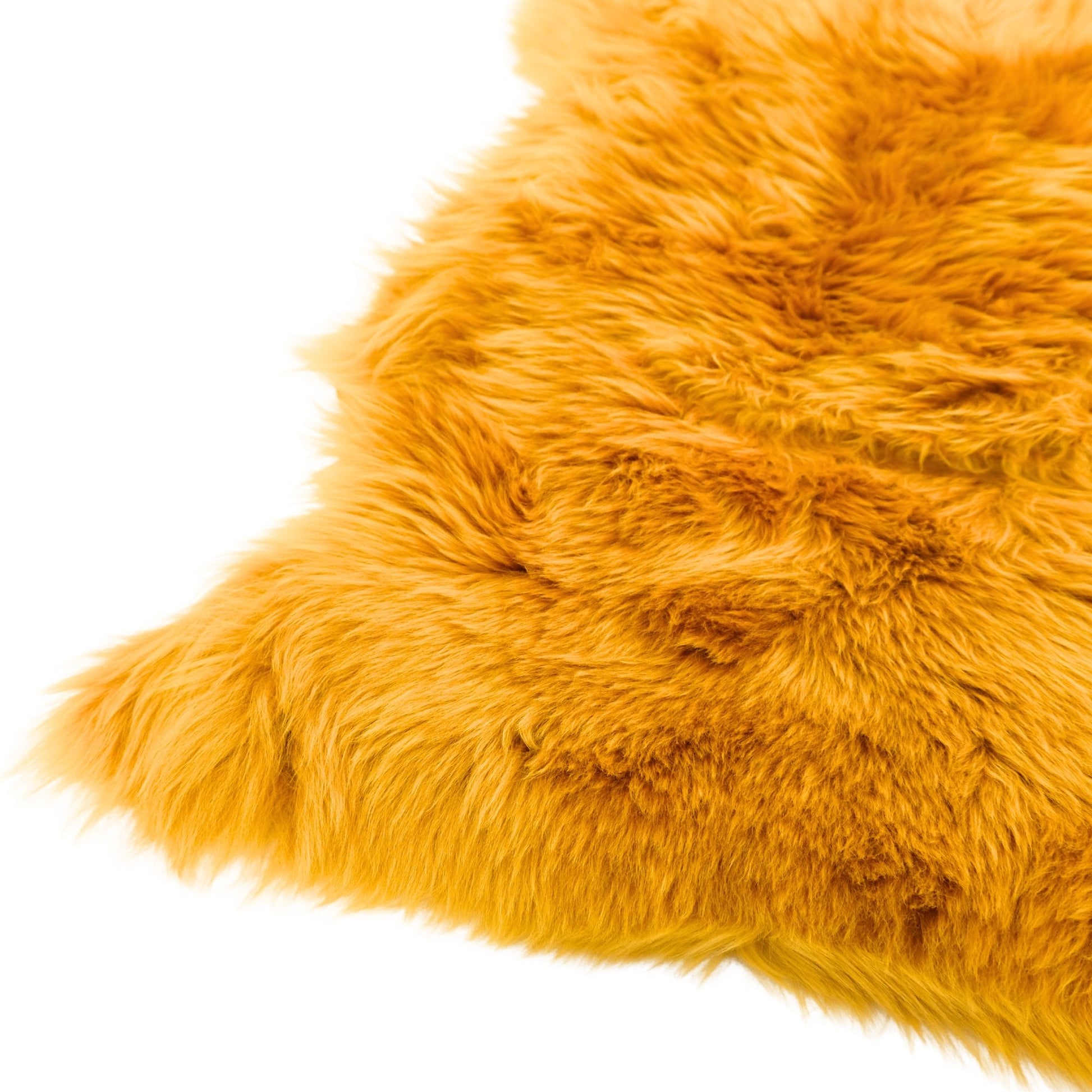 Golden yellow sheepskin rug with soft fluffy wool texture, top view detail. - Yellow Earth Australia