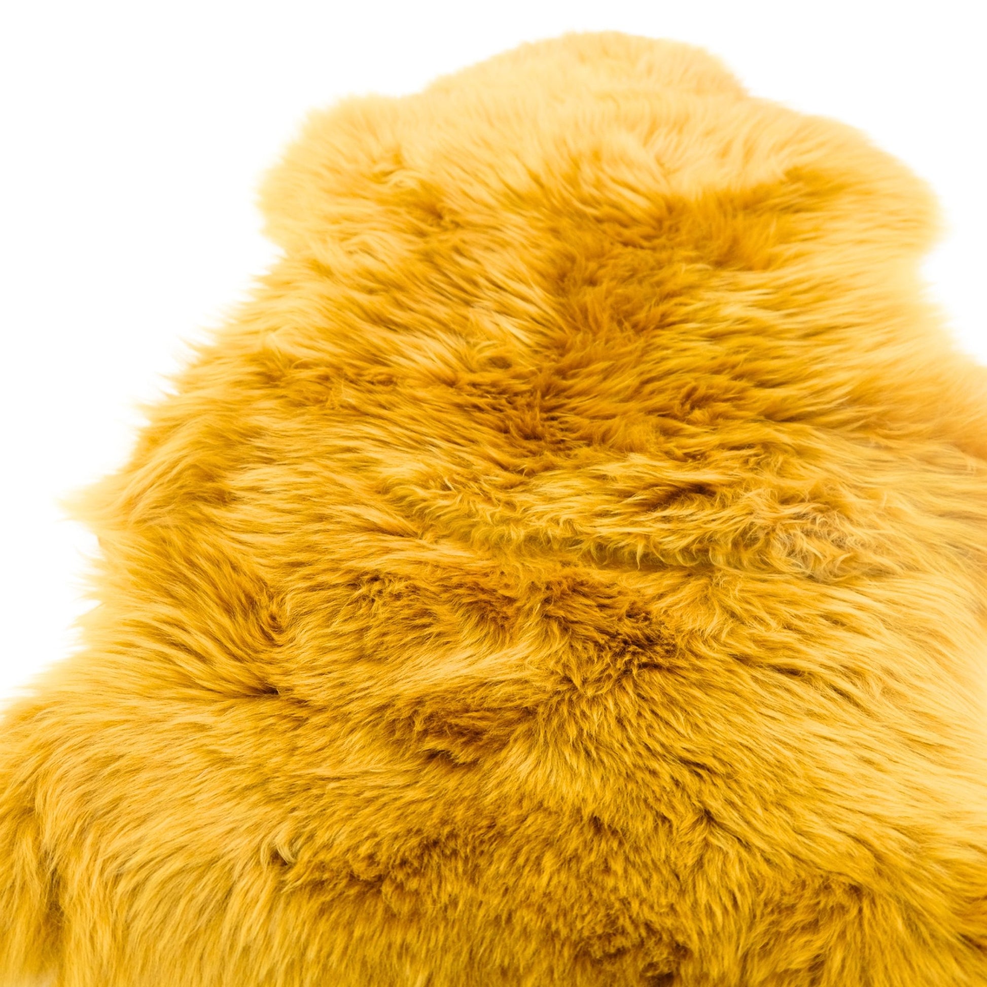 Golden yellow sheepskin rug with long curly wool fibers viewed from above. - Yellow Earth Australia