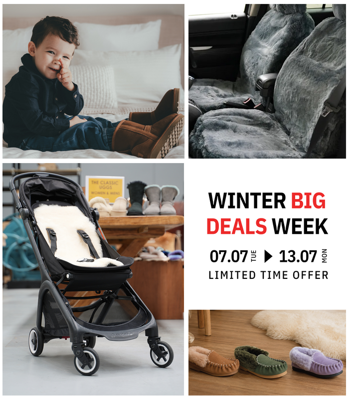 Winter Big Deals Week