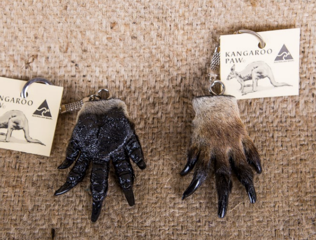 Kangaroo paw keychains in black and brown fur with claws, top view on textured fabric. - Yellow Earth Australia