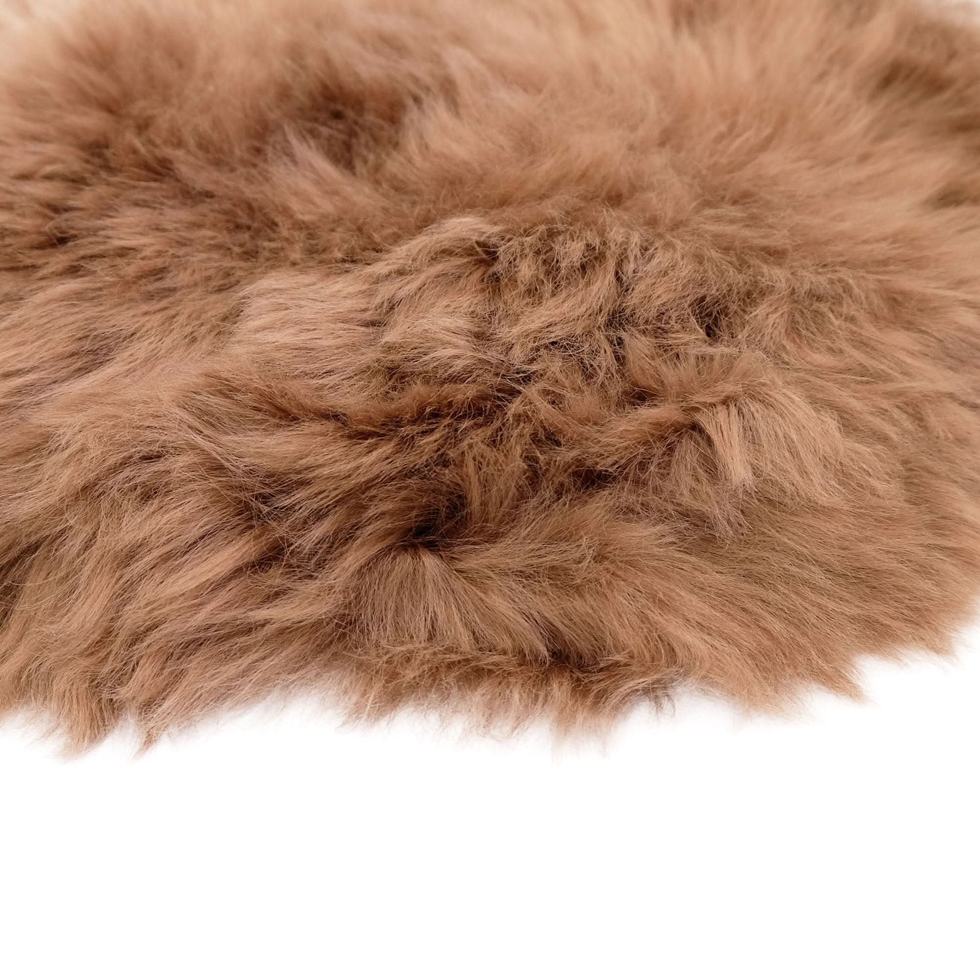 Caramel sheepskin rug with soft wool texture, top-down view on white background. - Yellow Earth Australia