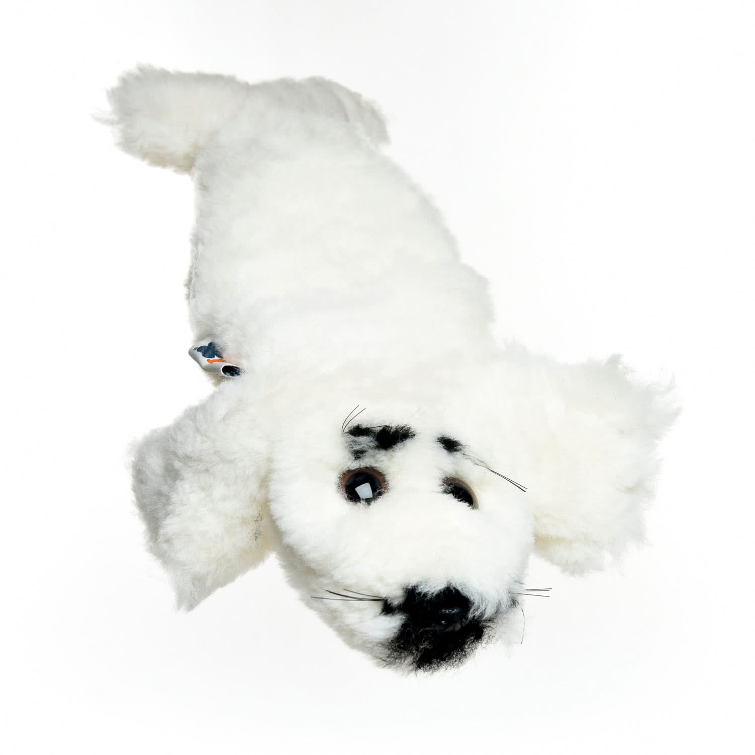 White sheepskin rug with natural wool texture, overhead view showing soft fluffy pile. - Yellow Earth Australia