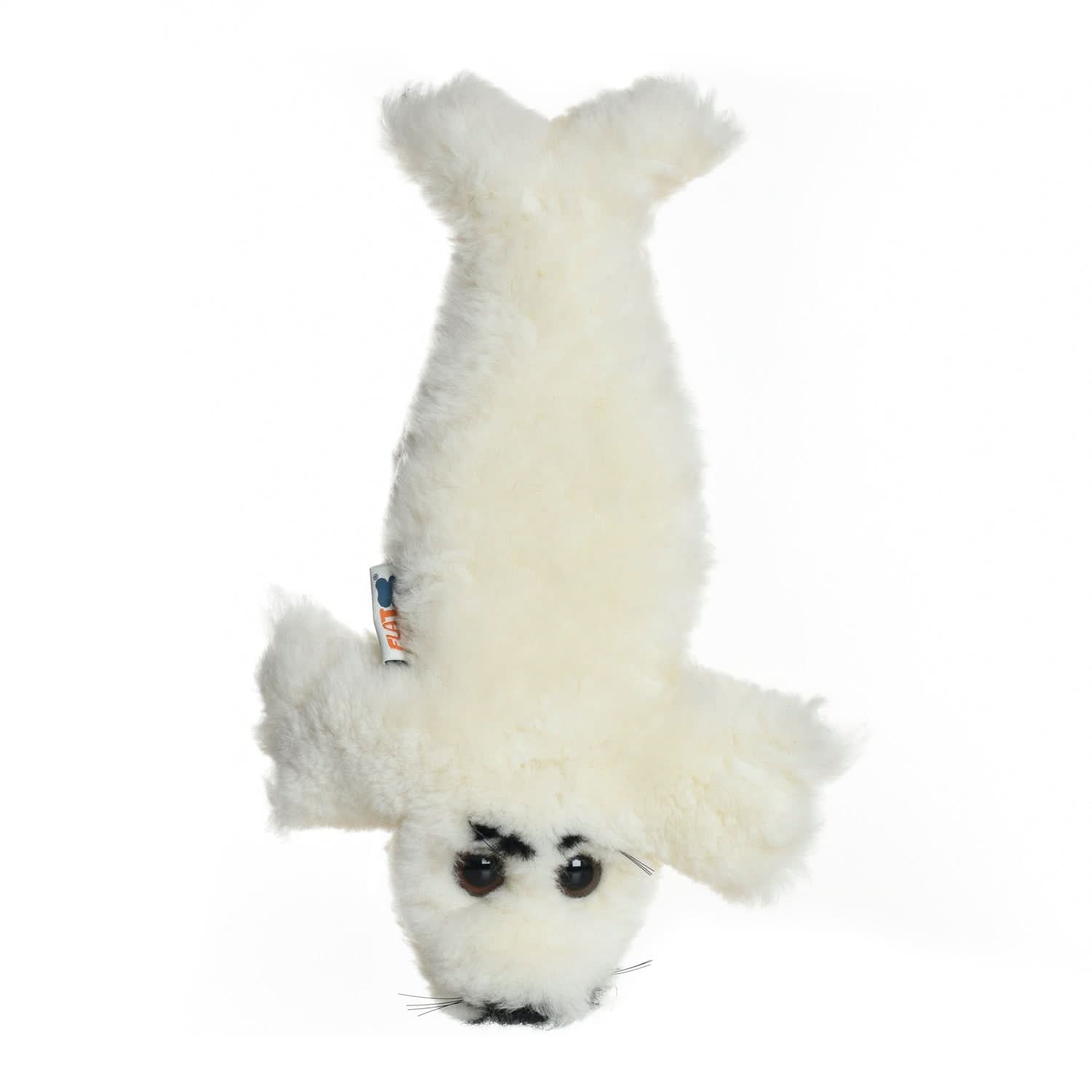 Fluffy white sheepskin rug viewed from above showing soft wool texture and natural fur pile. - Yellow Earth Australia