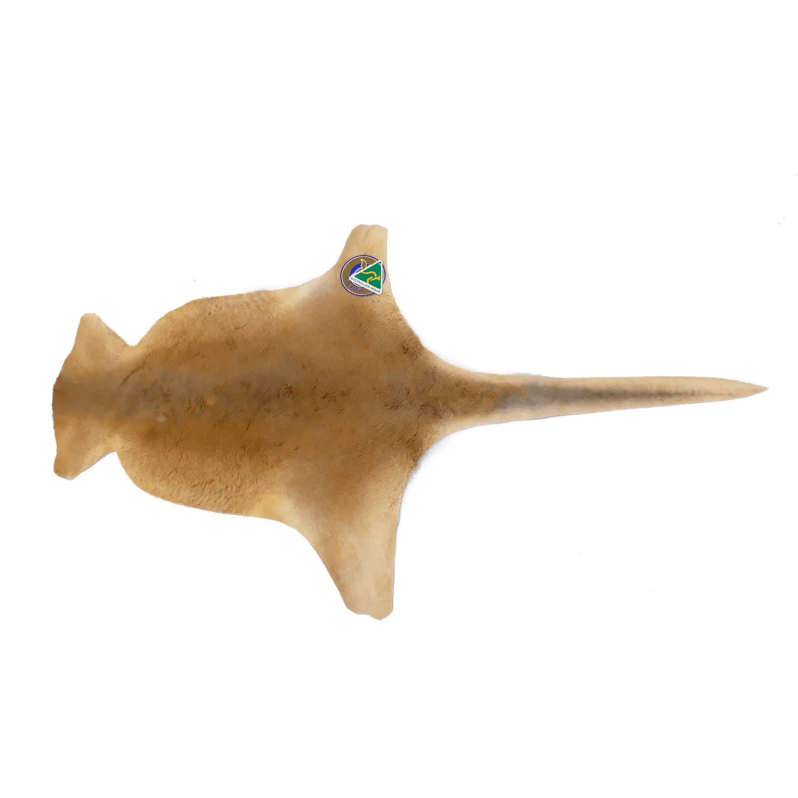 Tan sheepskin toy fish with natural wool texture, top view. - Yellow Earth Australia