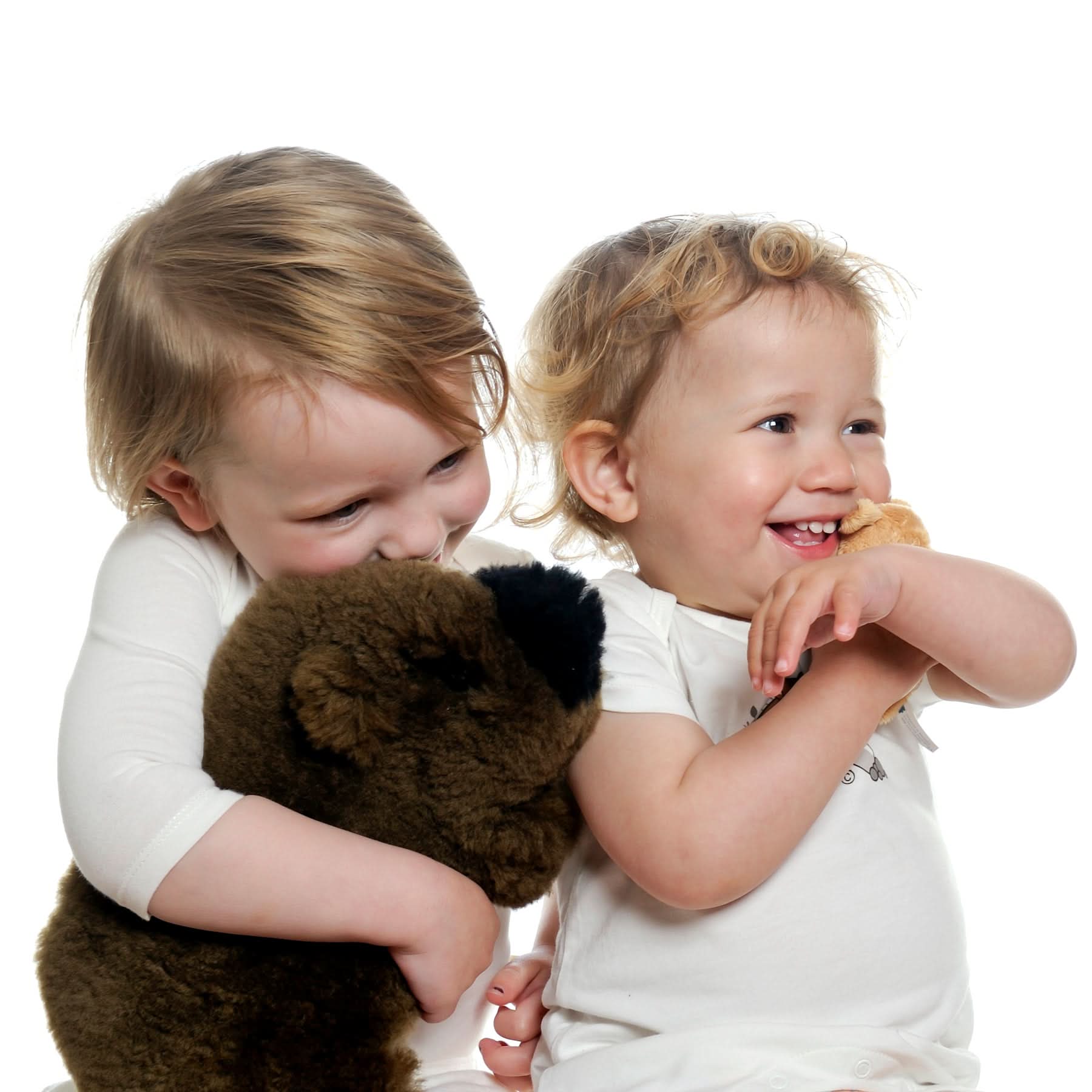 Two toddlers hugging brown sheepskin teddy bear on white background. - Yellow Earth Australia