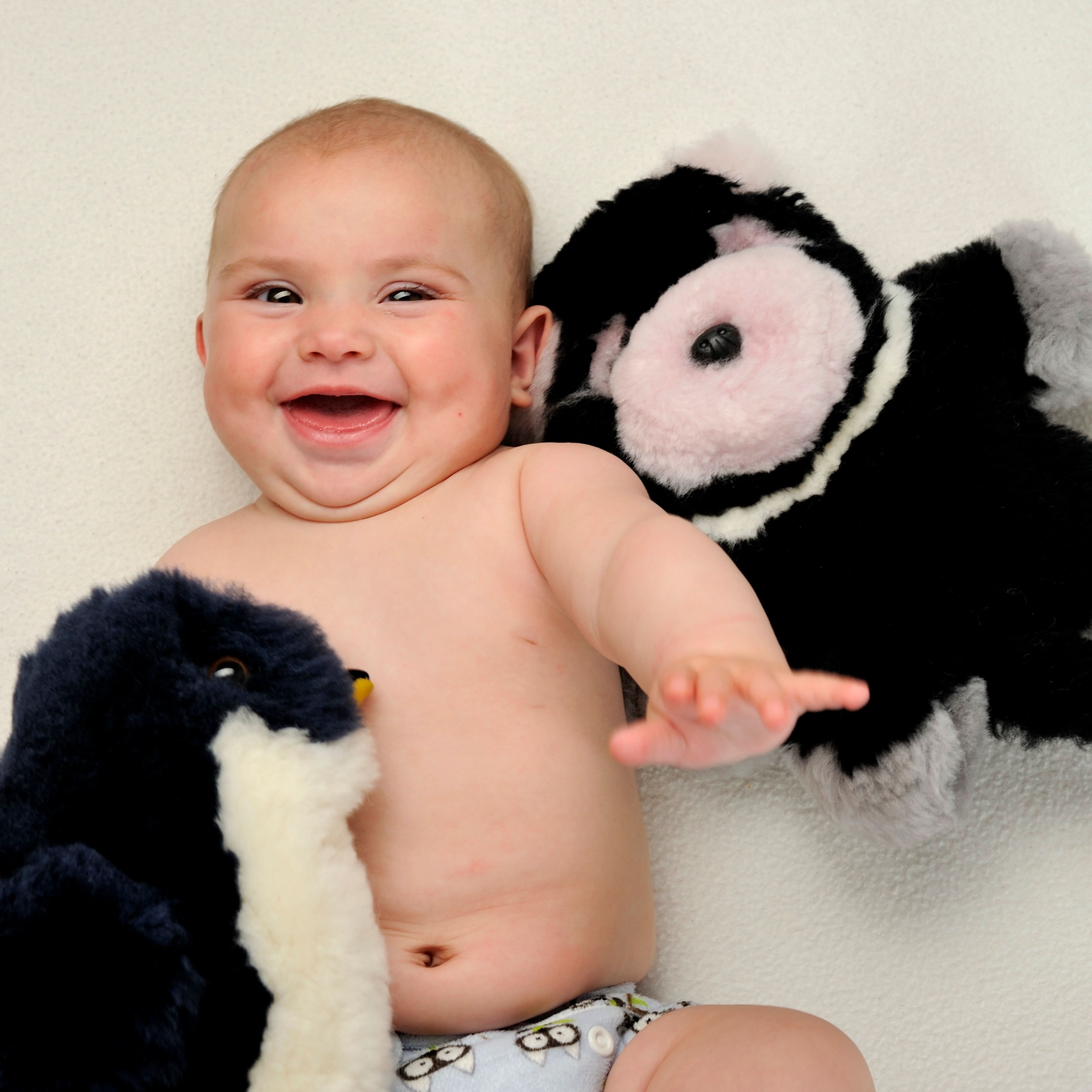 Soft black and white plush animal toys displayed with happy baby on cream background. - Yellow Earth Australia