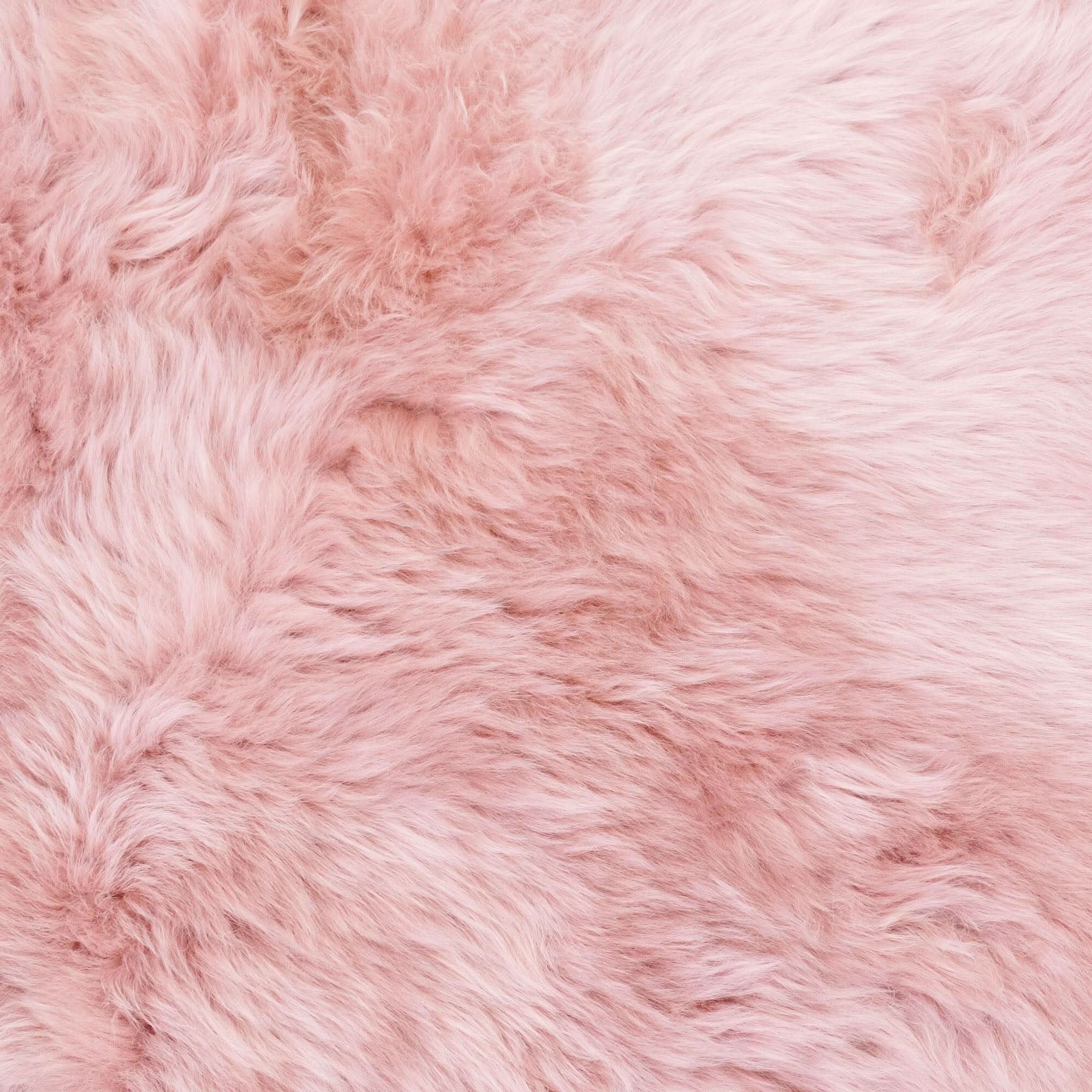 Sheepskin Rug - Dust Pink - Large Size - Long Wool Australian Merino Sheepskin