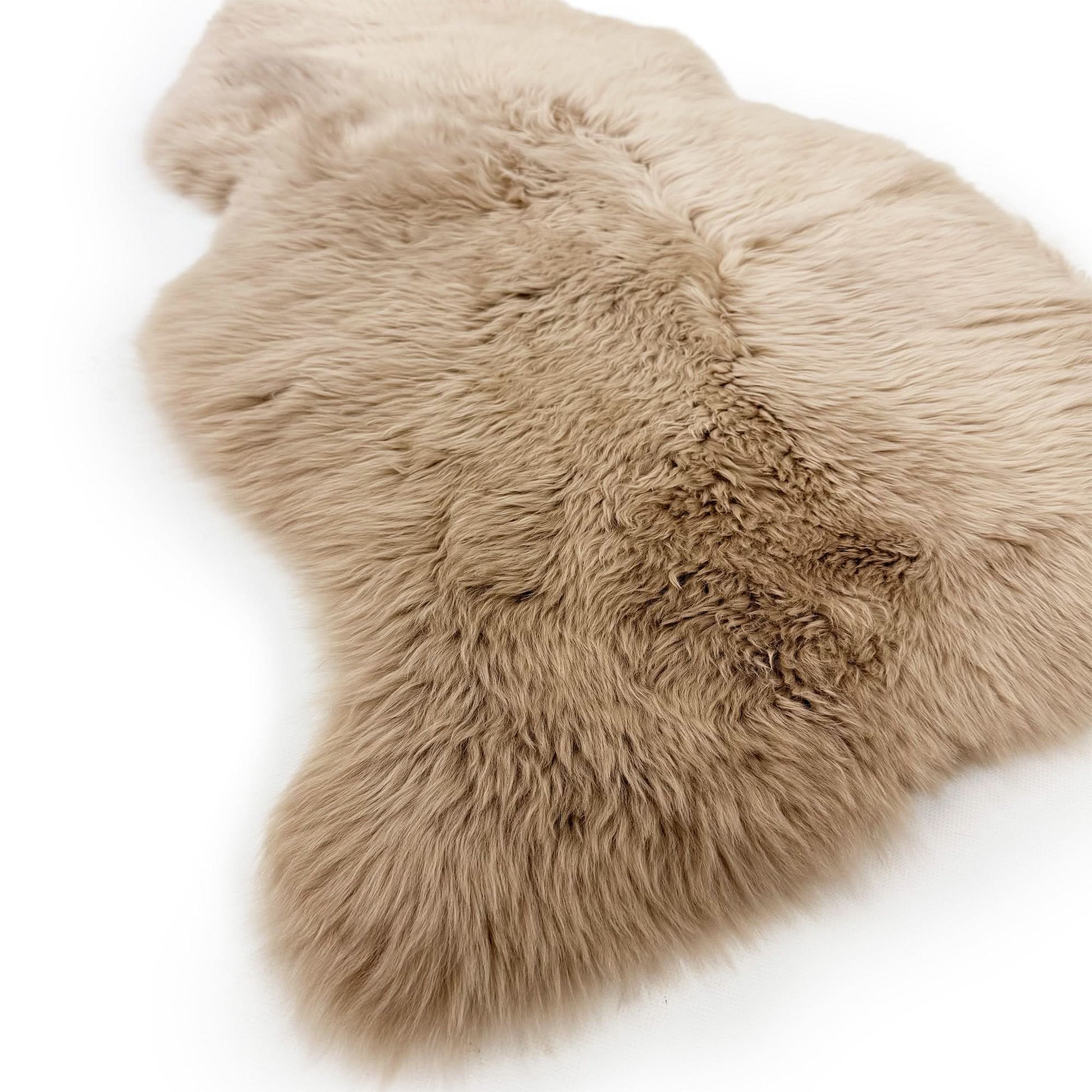 Beige sheepskin rug with luxurious curly wool pile viewed from above on white background. - Yellow Earth Australia