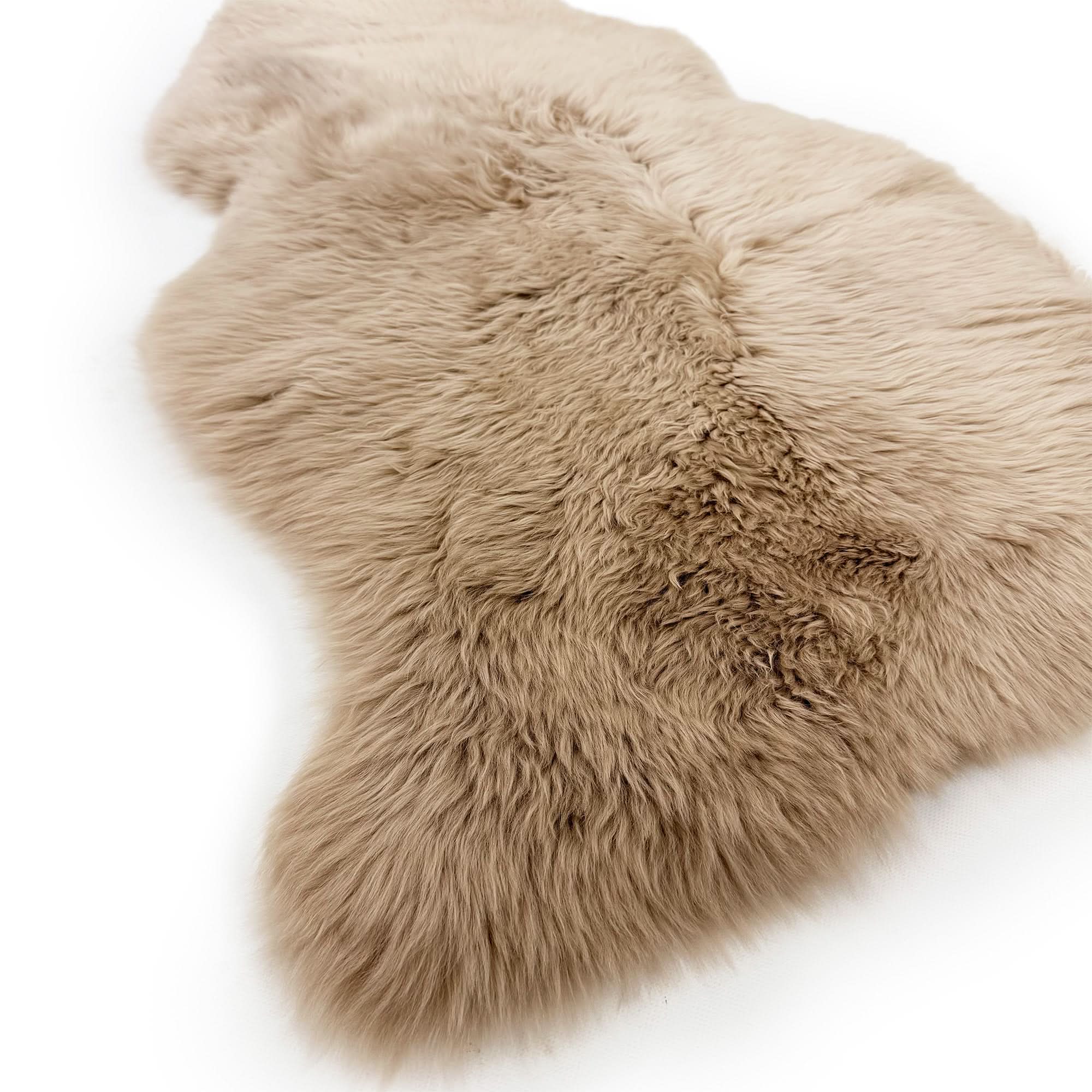 Beige sheepskin rug with luxurious curly wool pile viewed from above on white background. - Yellow Earth Australia