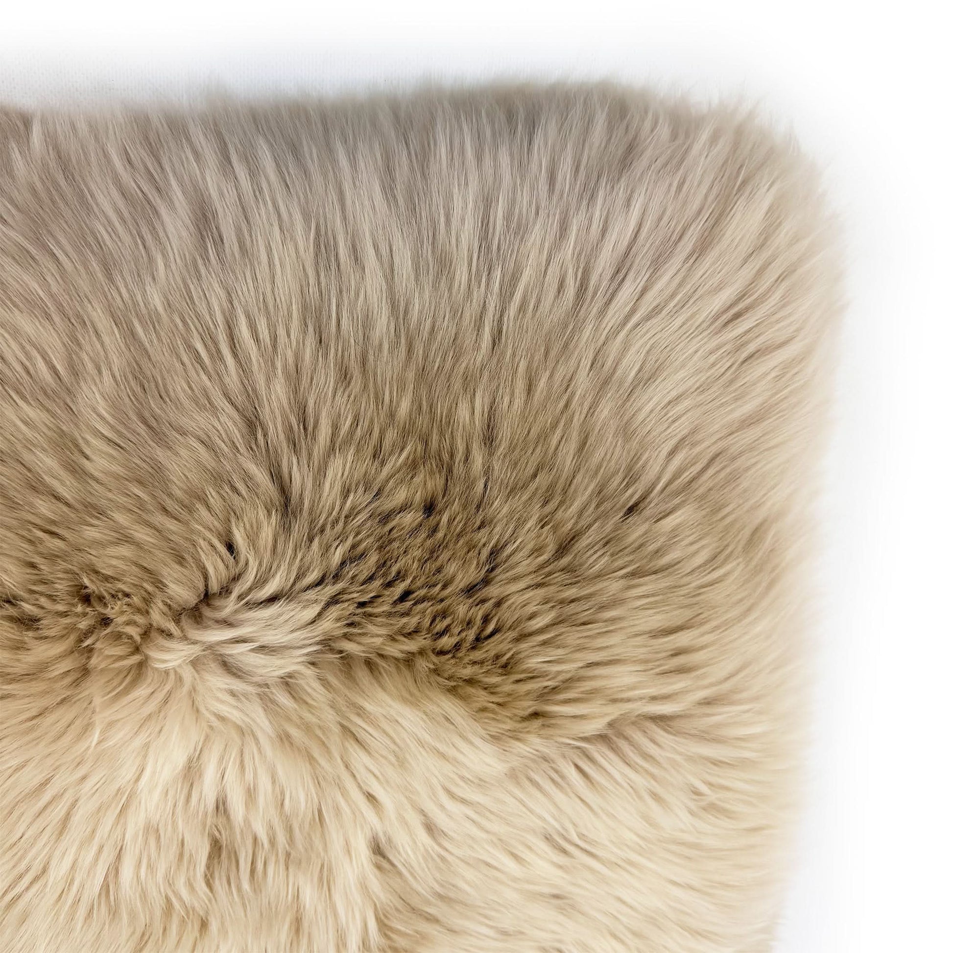 Cream sheepskin rug with long wool pile viewed from above on white background. - Yellow Earth Australia