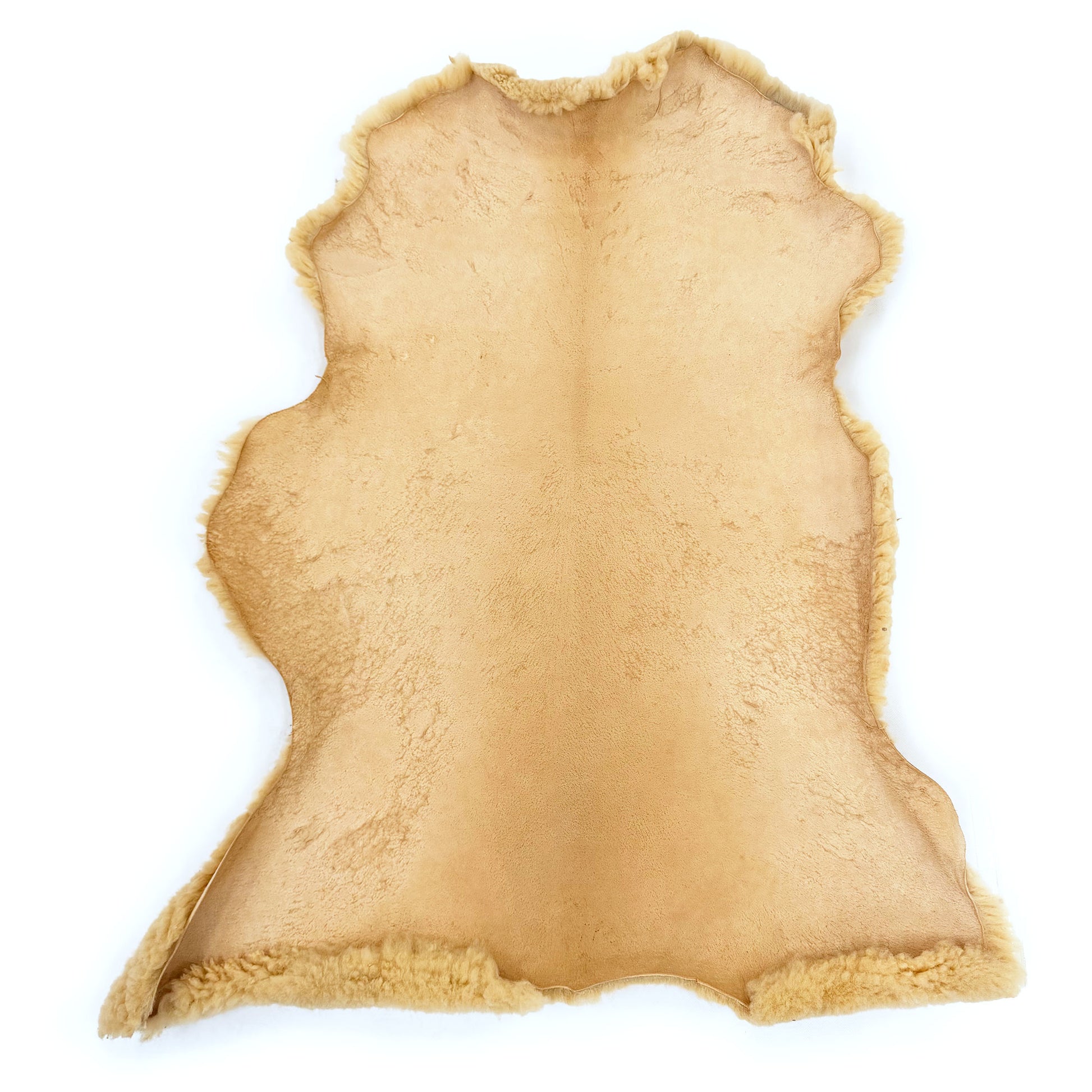 Natural sheepskin rug with fluffy wool trim viewed from above on white background. - Yellow Earth Australia
