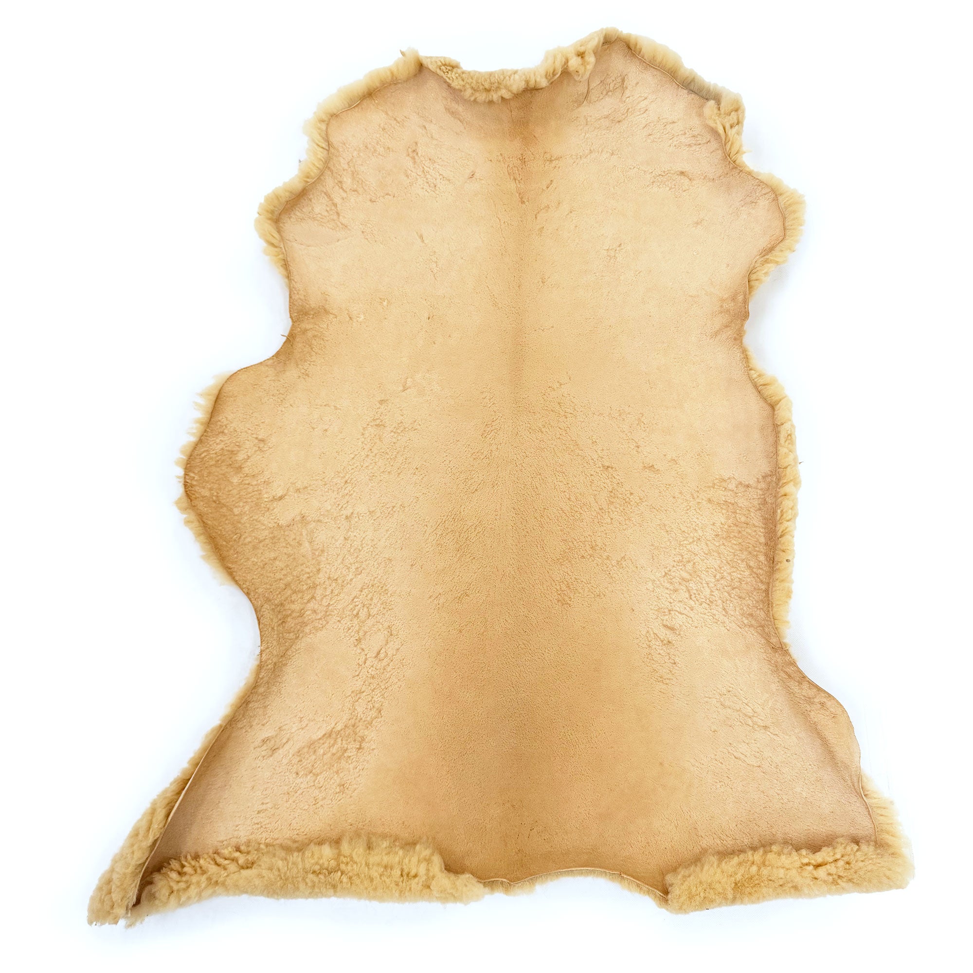 Natural sheepskin rug with fluffy wool trim viewed from above on white background. - Yellow Earth Australia