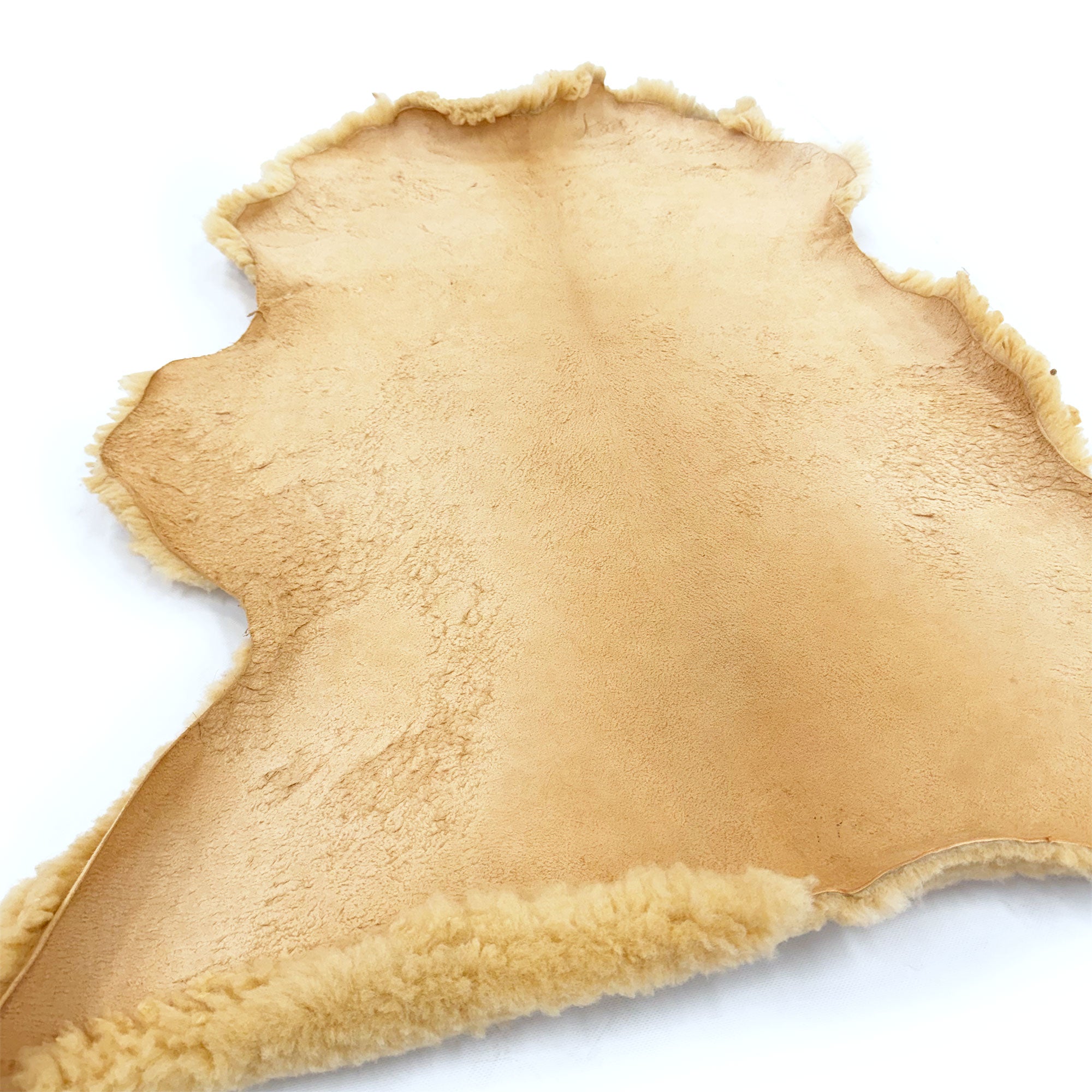 Cream sheepskin rug with natural fur edges shown from above on white background. - Yellow Earth Australia