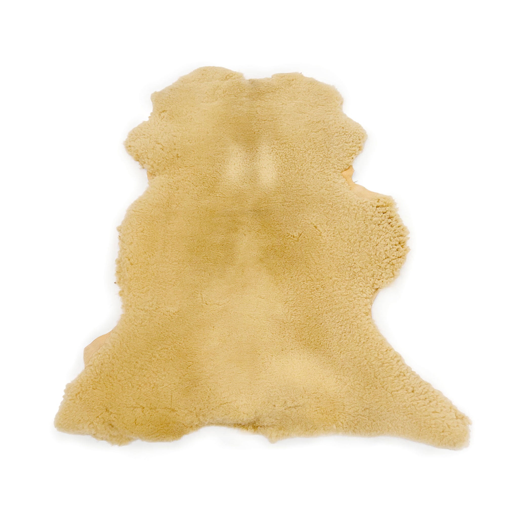 Cream sheepskin rug with soft wool pile, top-down view on white background. - Yellow Earth Australia