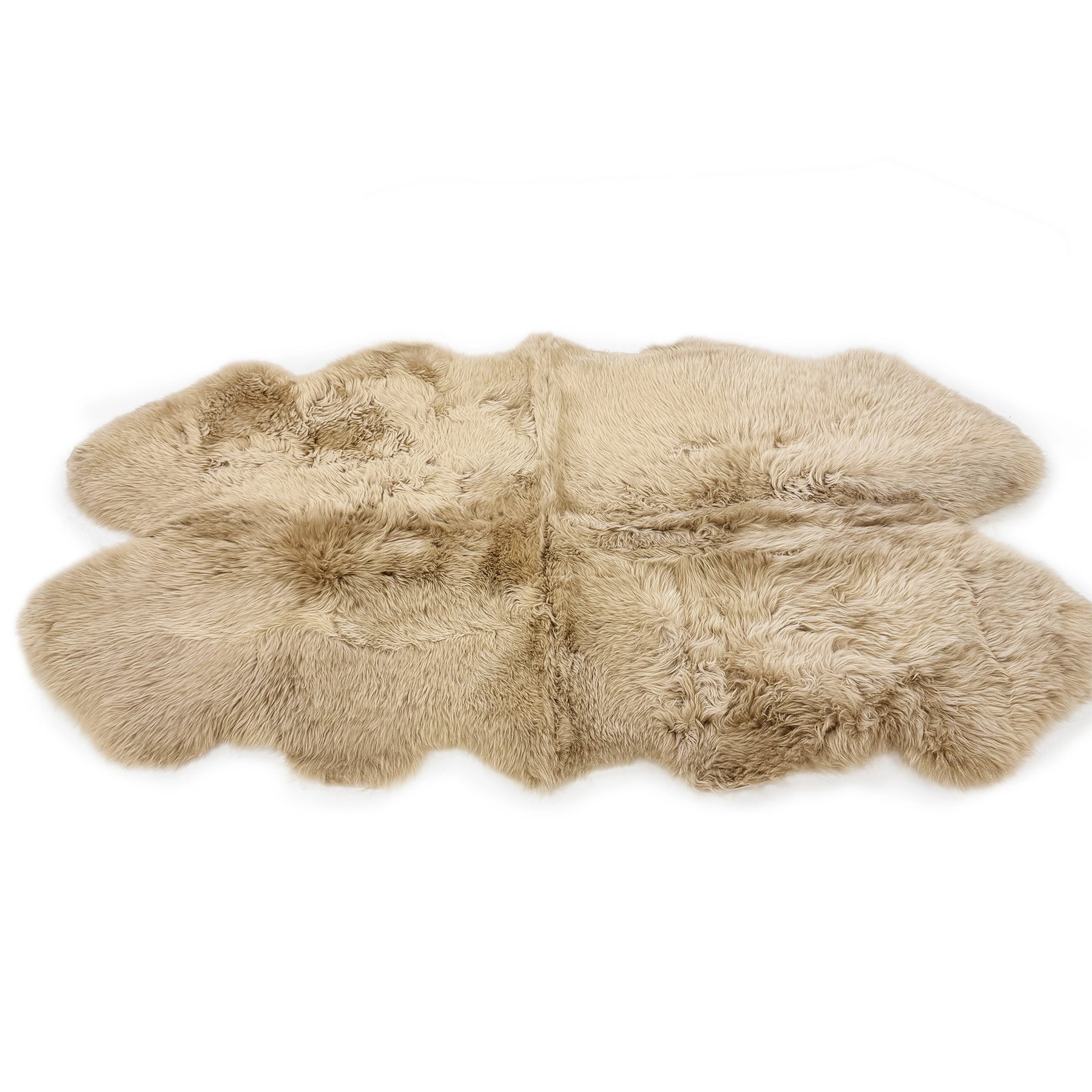 Cream sheepskin rug with natural wool texture viewed from above on white background. - Yellow Earth Australia