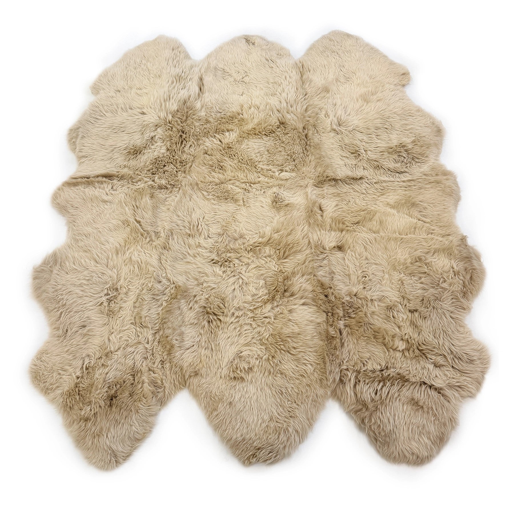 Cream sheepskin rug with natural wool texture viewed from above on white background. - Yellow Earth Australia