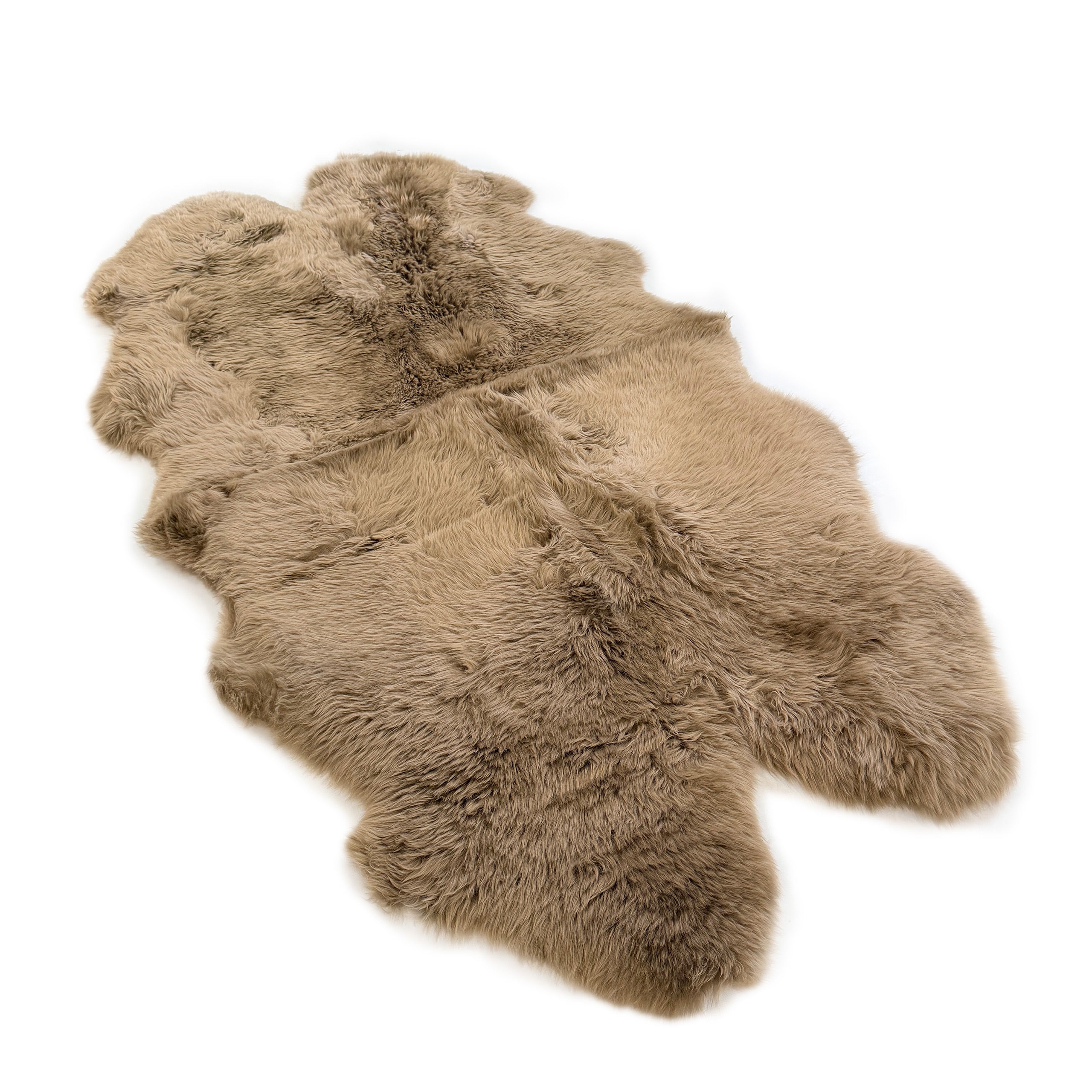Beige sheepskin rug with curly wool texture viewed from above on white background. - Yellow Earth Australia