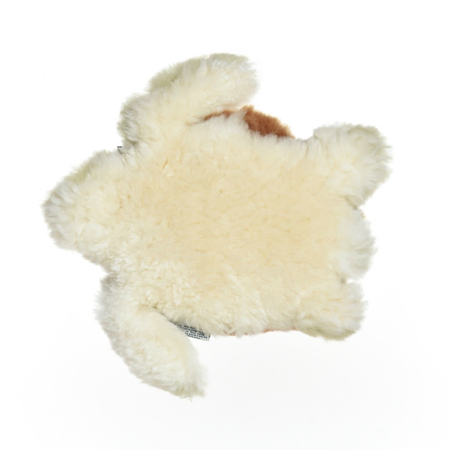 Cream sheepskin rug with brown accent viewed from above on white background. - Yellow Earth Australia