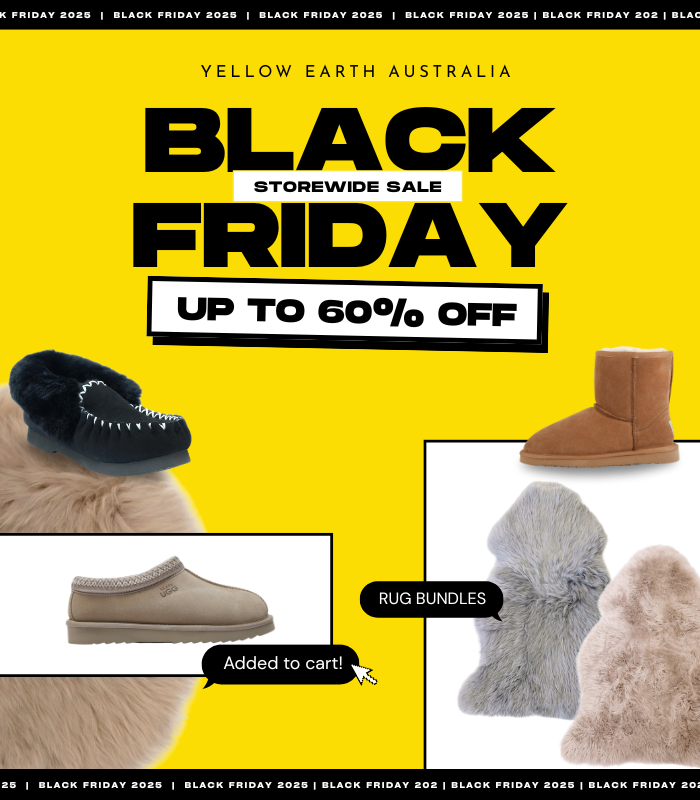 Black Friday 2025 Sale!