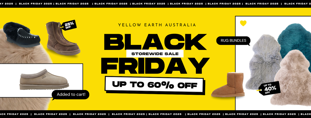 Black Friday 2025 Sale!