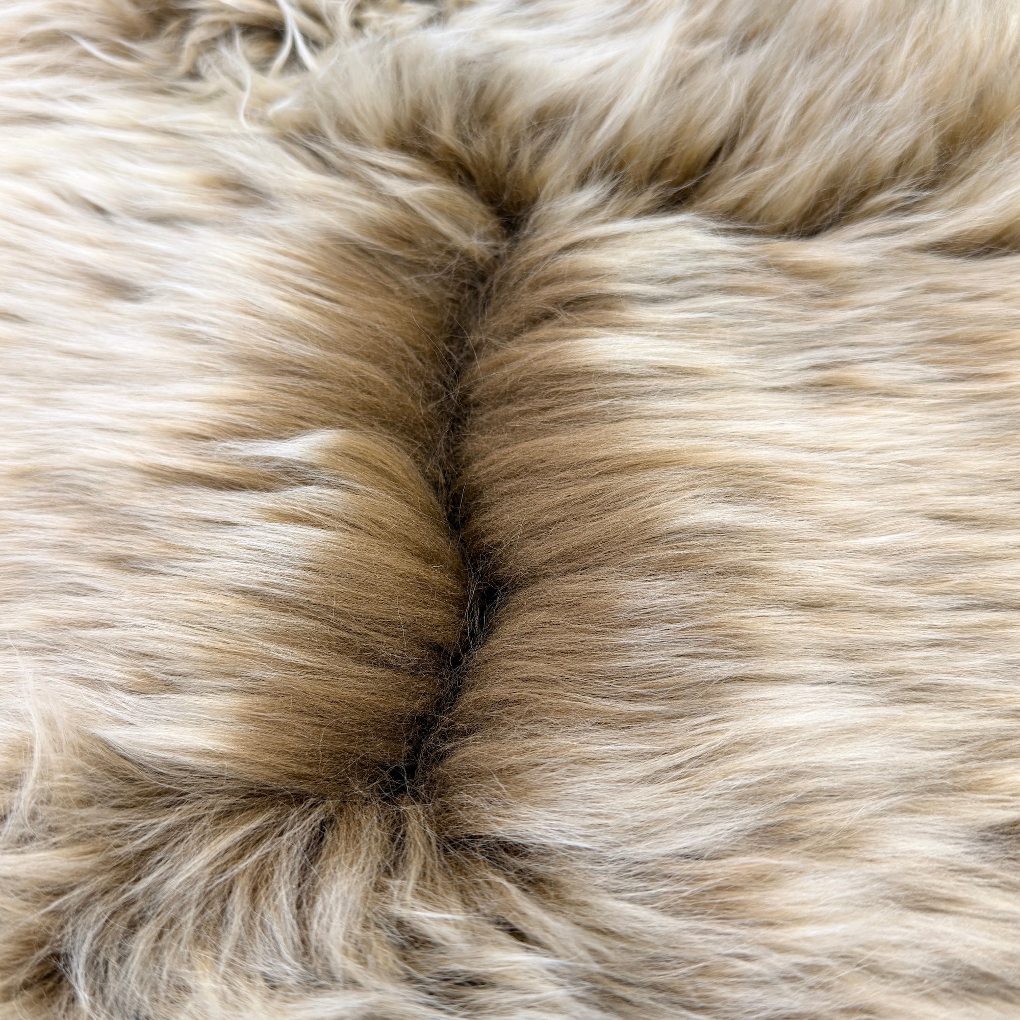 Sheepskin Rug - Frosted Latte - XXL - Long Wool Australian Merino Sheepskin