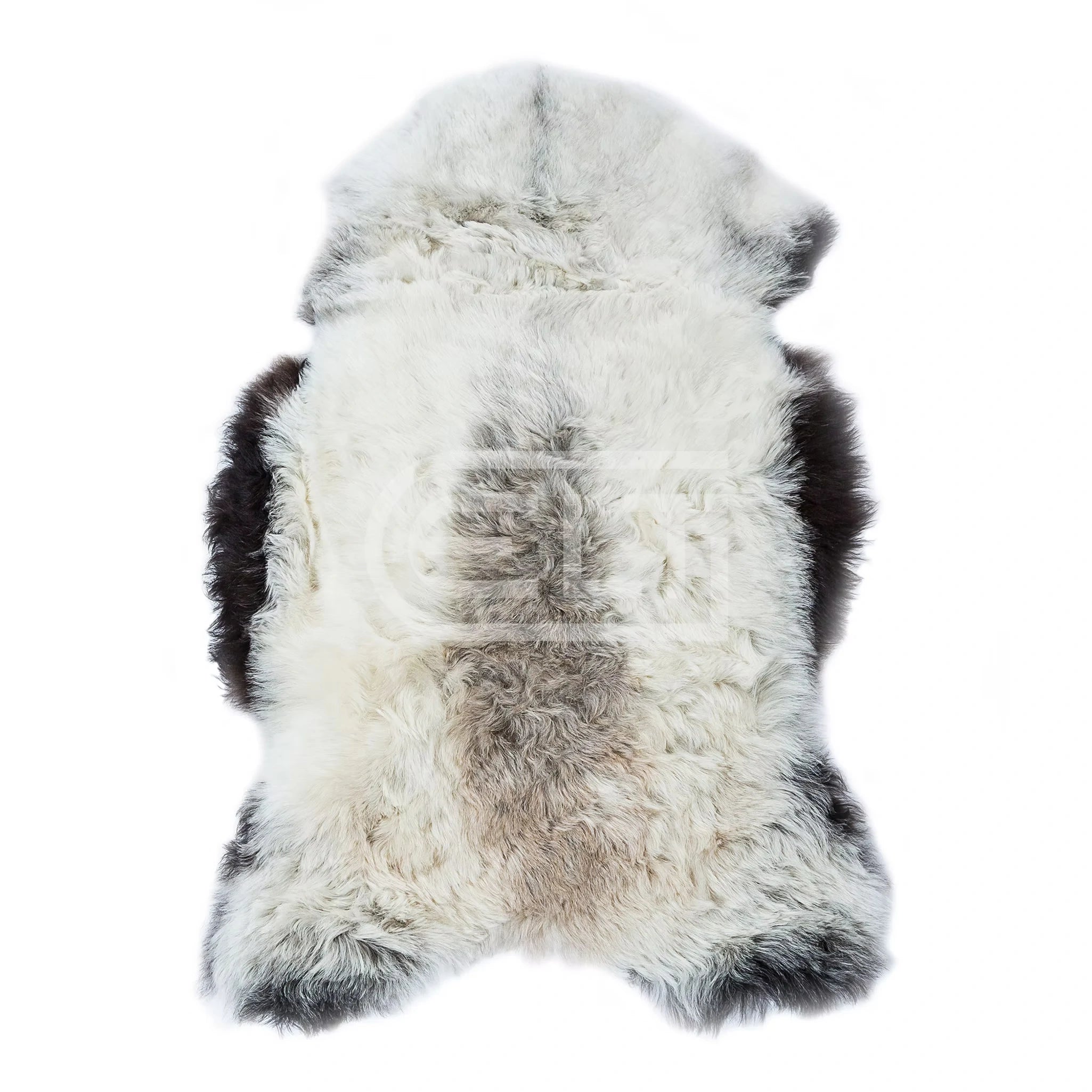 Icelandic Sheepskin Rug — XXL, 100% Genuine Long Wool - Grey with Dark Edge