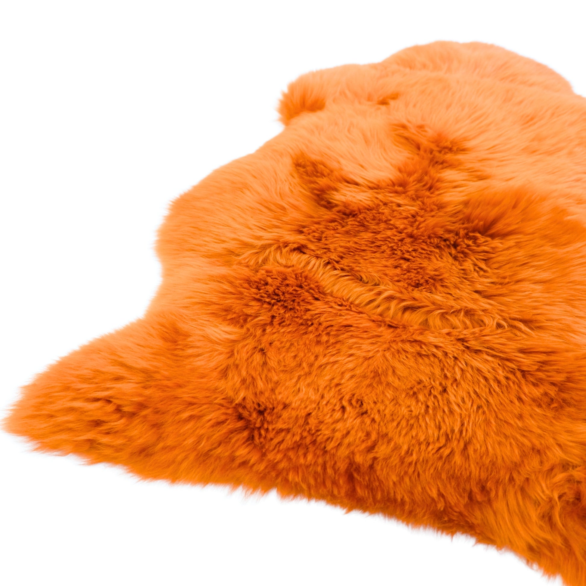 Orange sheepskin rug with thick curly wool pile viewed from above on white background. - Yellow Earth Australia