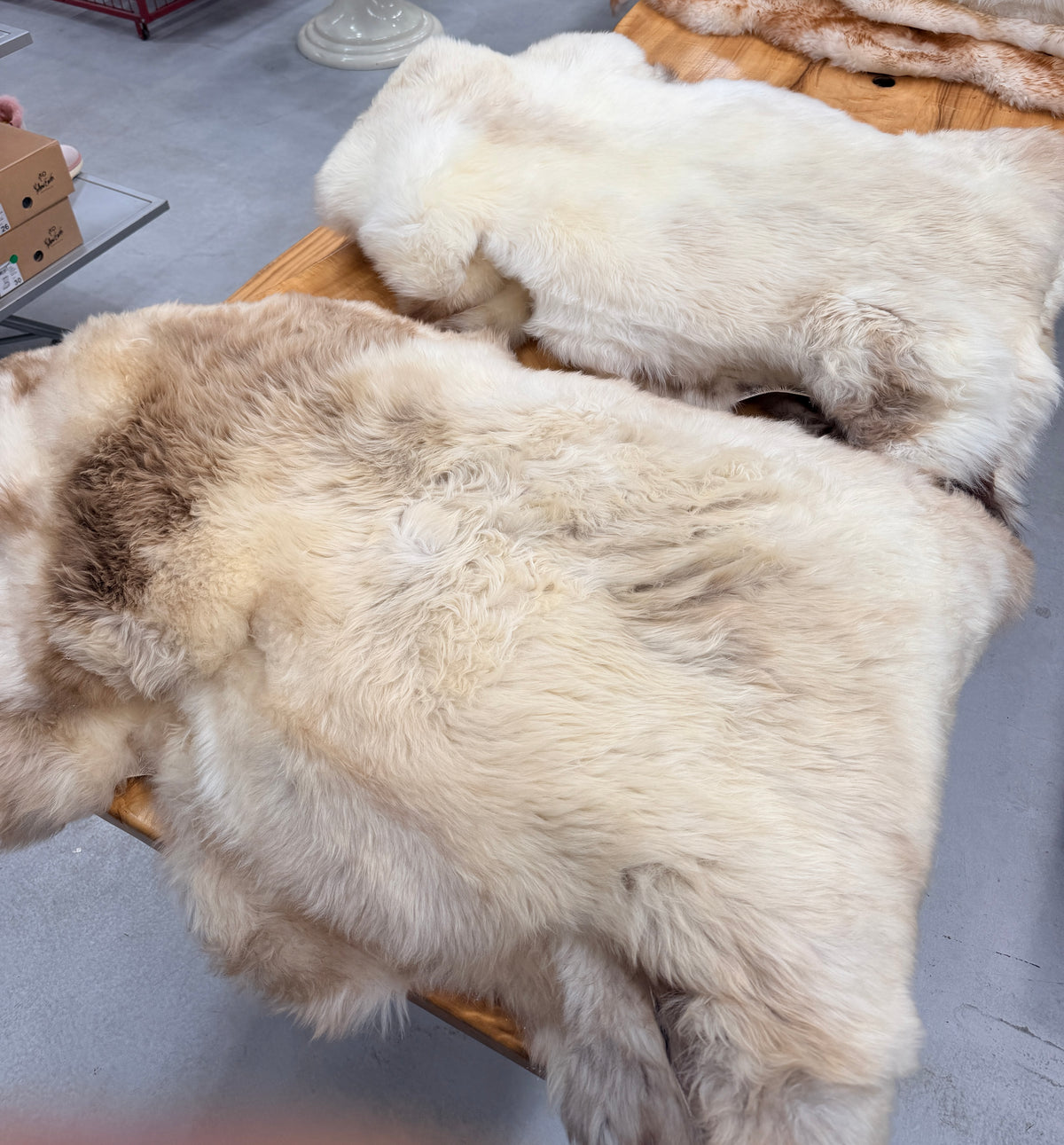 Natural Undyed Australian Merino Sheepskin Rug — XXL
