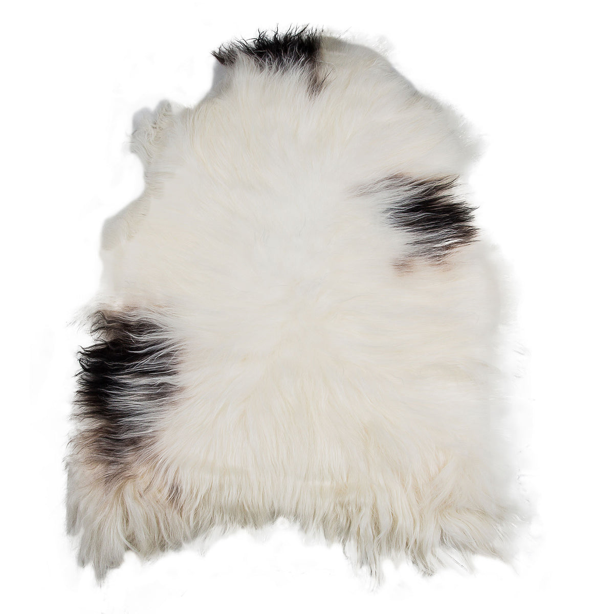 Icelandic Sheepskin Rug — XXL, 100% Genuine Long Wool - Dalmatian Brown