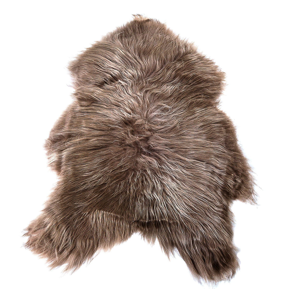 Icelandic Sheepskin Rug — XXL, 100% Genuine Long Wool - Latte
