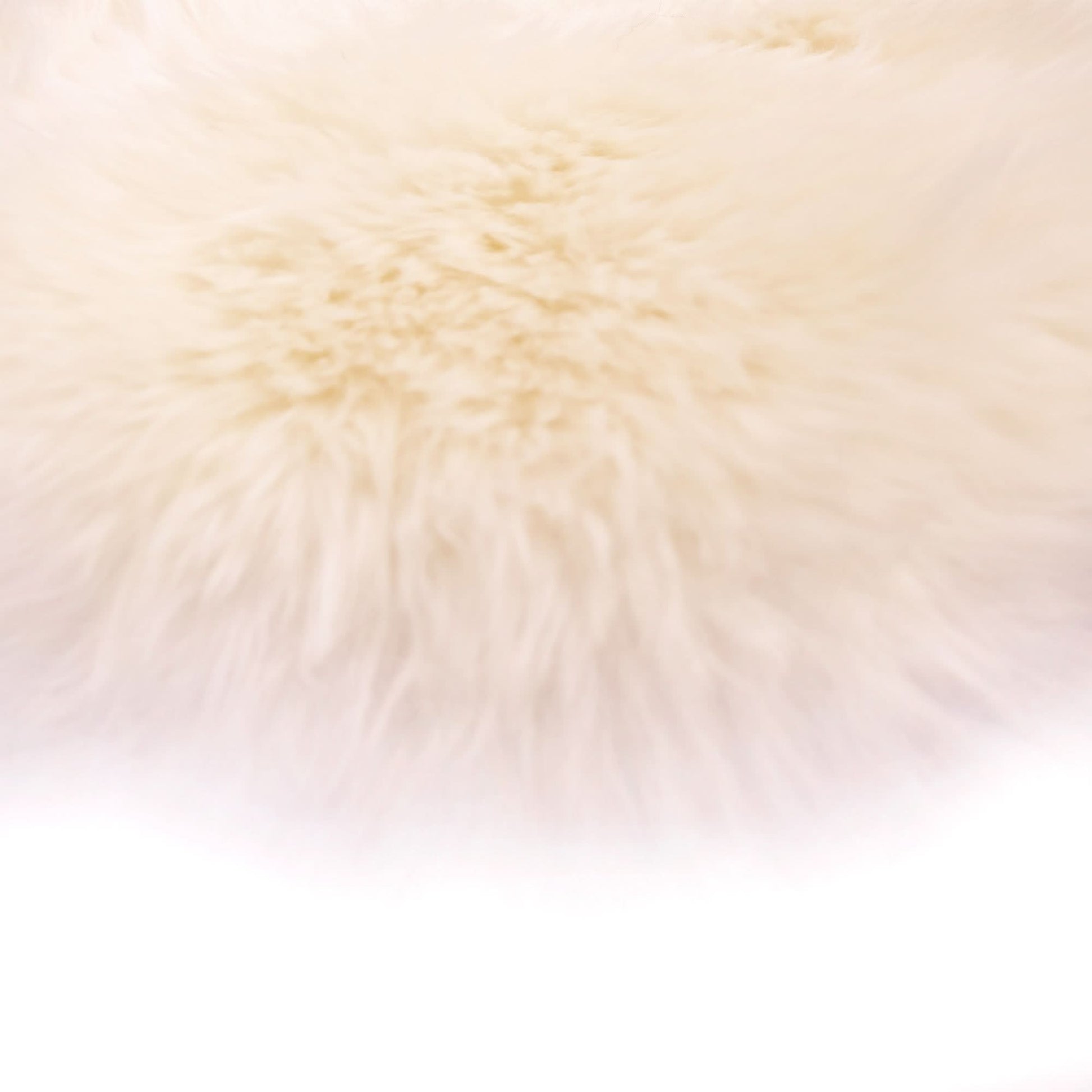 Soft white sheepskin rug with fluffy wool pile viewed from above. - Yellow Earth Australia