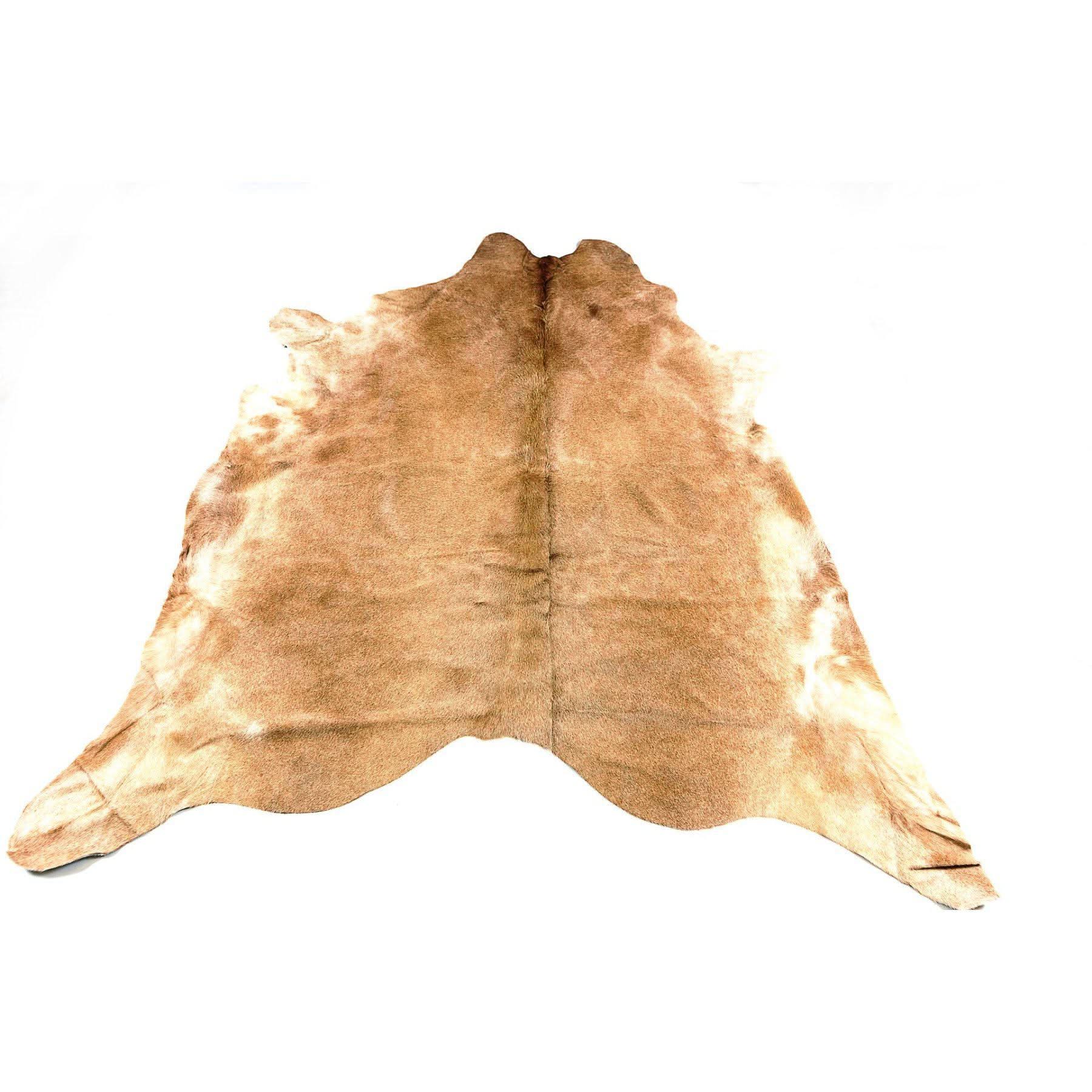 Natural tan and cream cow hide rug displayed flat from above on white background. - Yellow Earth Australia