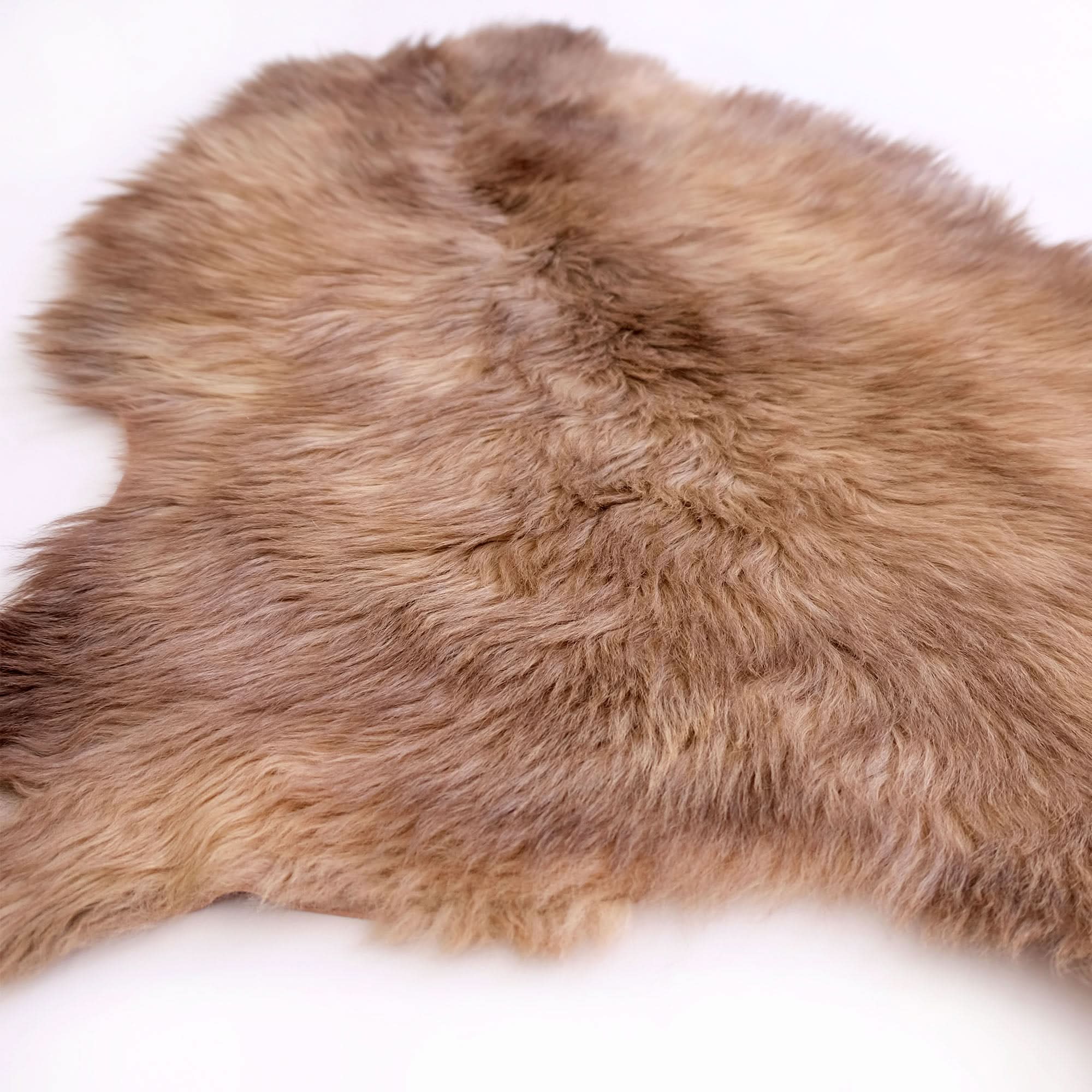Thick natural sheepskin rug in soft beige tones displayed from above on white background. - Yellow Earth Australia