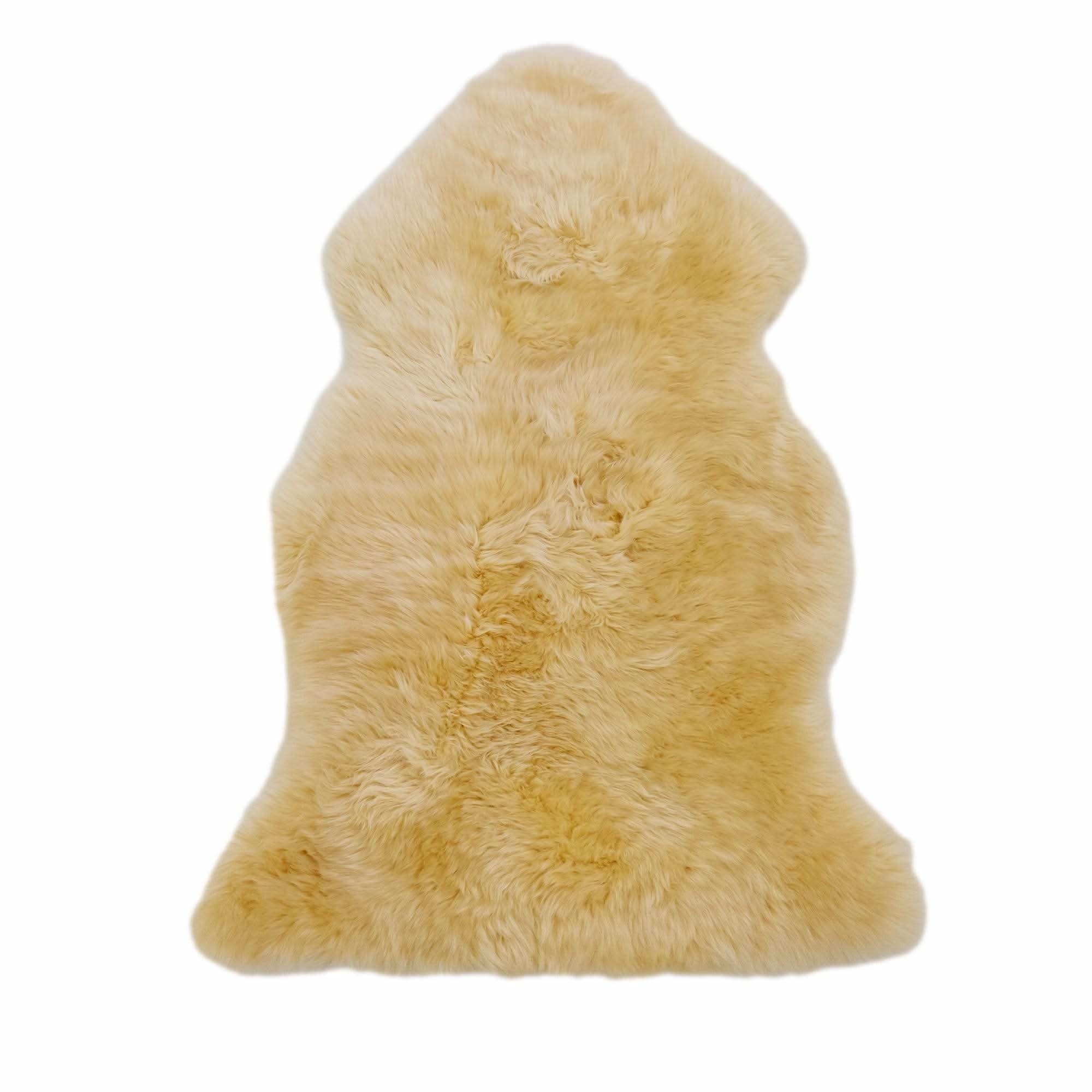 Cream sheepskin rug with soft wool pile viewed from above on white background. - Yellow Earth Australia