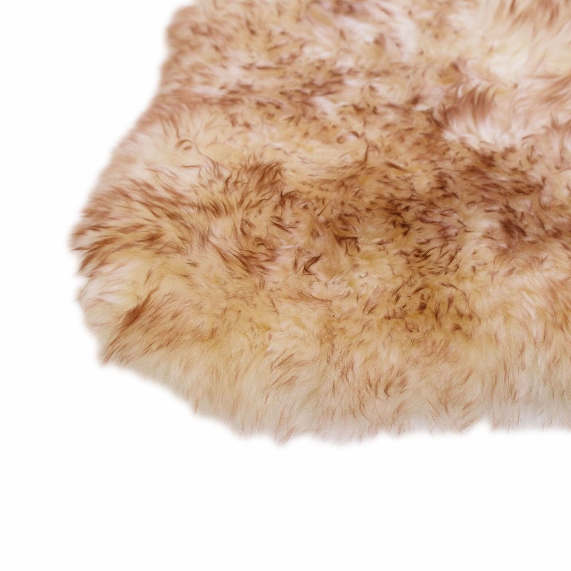 Beige sheepskin rug with curly wool texture shown from above on white background. - Yellow Earth Australia