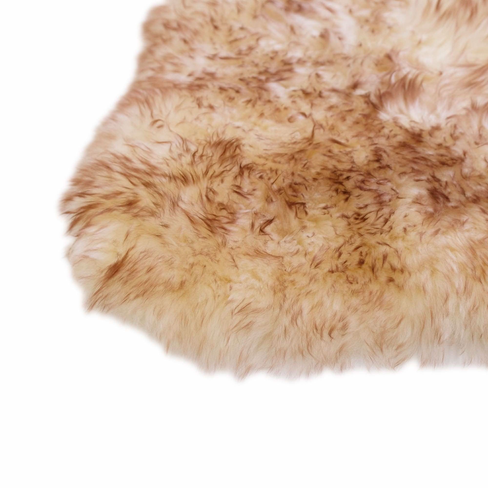 Beige sheepskin rug with curly wool texture shown from above on white background. - Yellow Earth Australia