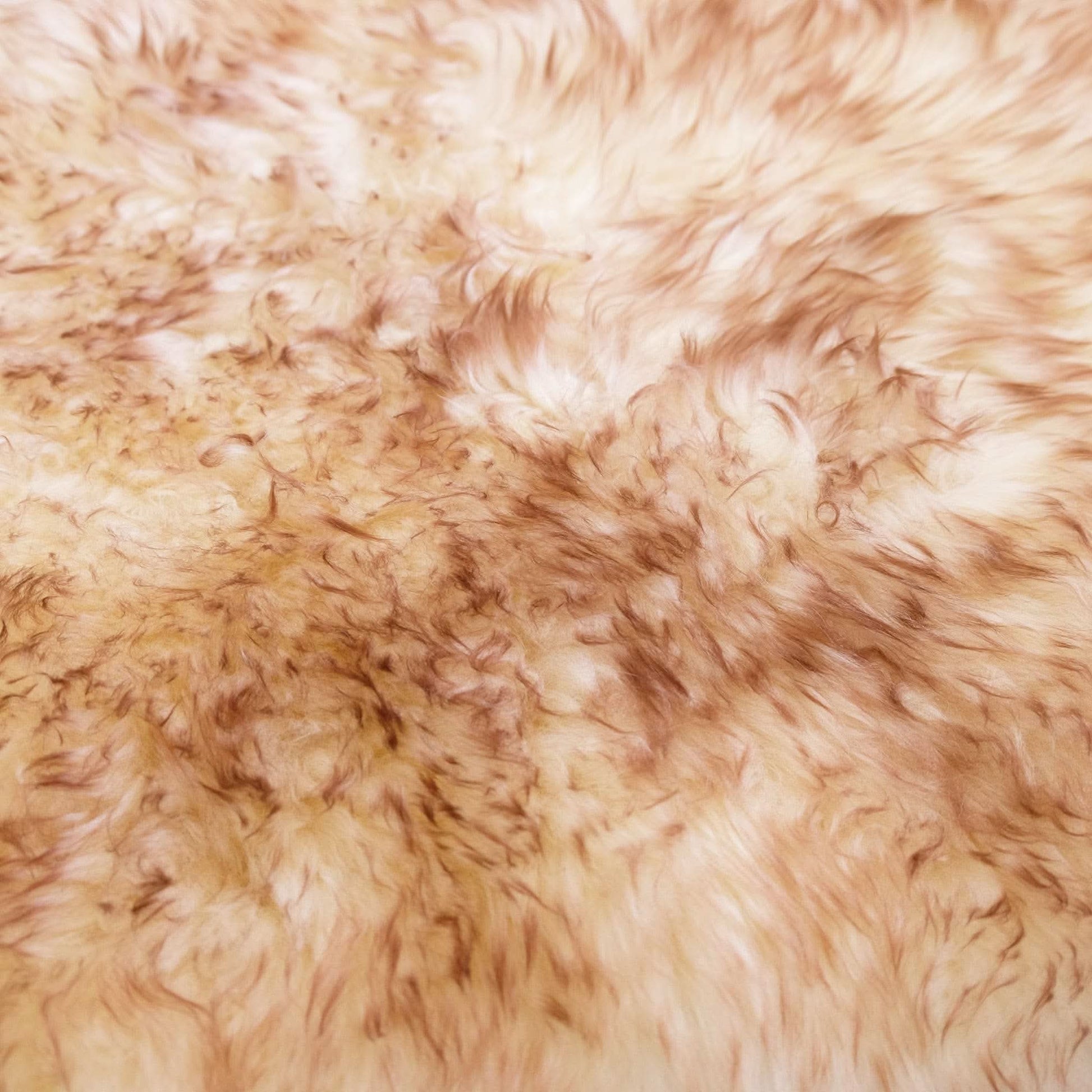 Soft natural sheepskin rug with cream and tan curly wool texture closeup view. - Yellow Earth Australia