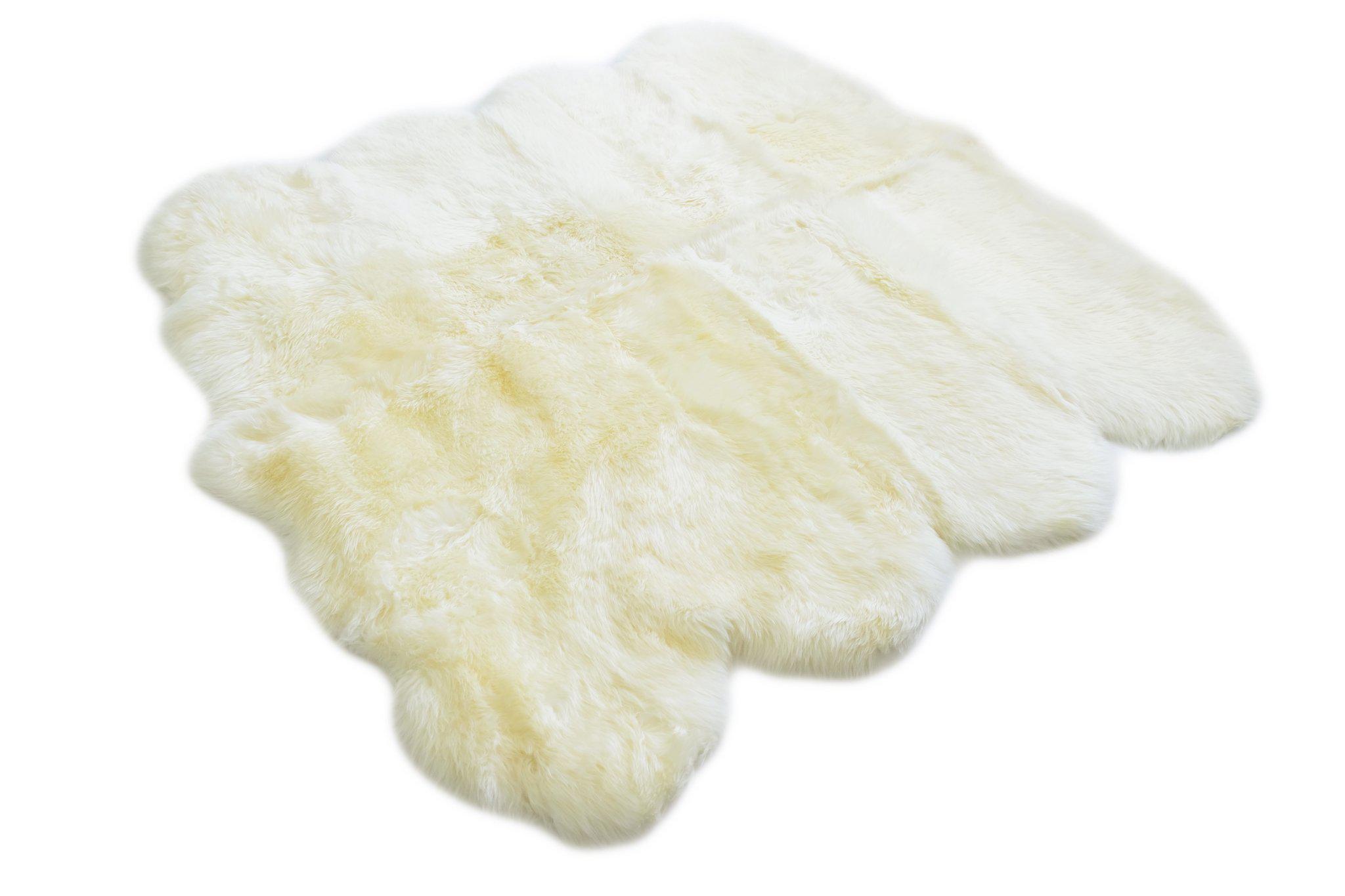 Cream sheepskin rug with soft wool pile viewed from above on white background. - Yellow Earth Australia